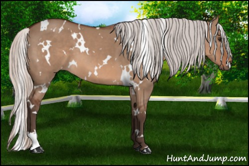 Horse Color: White Spotted Silver Bay Dun 