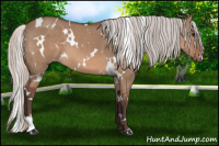 Horse Color:White Spotted Silver Bay Dun 