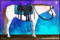 Horse Color:Gray White Spotted Buckskin Pearl Sabino 