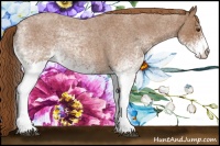 Horse Color:White Spotted Red Roan 