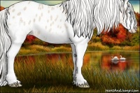Horse Color:White Spotted Cremello Blanket 