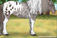 Horse Color:Liver Chestnut Tobiano Blanket Rabicano 