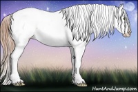 Horse Color:Gold Champagne Snowcap 