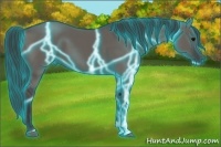 Horse Color:Thunderstruck Grullo 