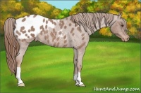Horse Color:Red Roan Blanket 
