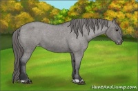 Horse Color:Grullo Roan Varnish 