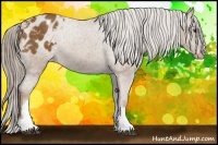 Horse Color:Chocolate Palomino Varnish 