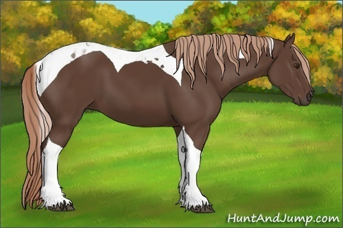 Horse Color: Liver Chestnut Tobiano 