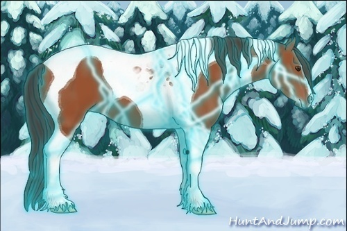 Horse Color: Thunderstruck Bay Tobiano 