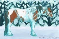 Horse Color:Thunderstruck Bay Tobiano 