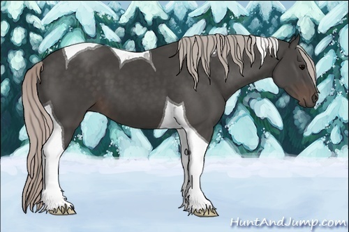 Horse Color: Silver Black Tobiano 