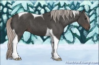 Horse Color:Silver Black Tobiano