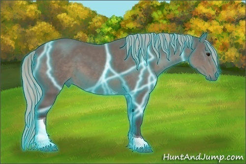 Horse Color: Thunderstruck Silver Black Tobiano 