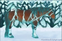 Horse Color:Thunderstruck Brown Tobiano 