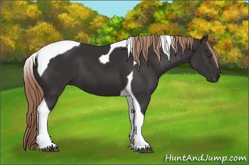 Horse Color: Liver Chestnut Tobiano 