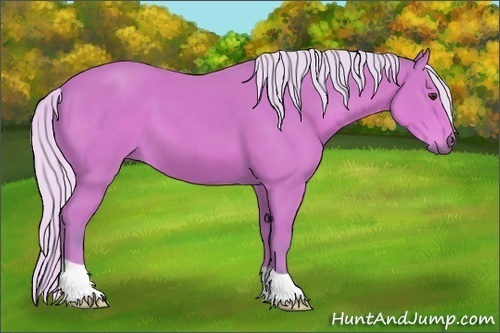 Horse Color: Watercolor Silver Bay 
