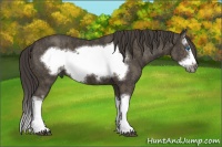 Horse Color:Smoky Black Splash Frame  Brindle