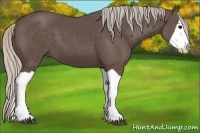 Horse Color:Silver Black Splash 