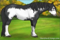 Horse Color:Black Frame 