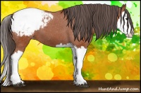 Horse Color:Bay Splash Snowcap 