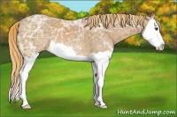 Horse Color:Chestnut Ice Splash 