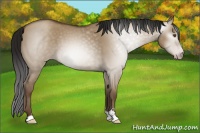 Horse Color:Gray Classic Champagne Dun Sabino 
