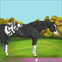 Horse Color:Black Splash Blanket 