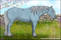 Horse Color:ERROR: UNKNOWN ANOMALY