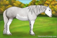 Horse Color:Silver Black Splash