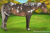 Horse Color:White Spotted Silver Smoky Black 