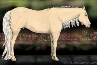 Horse Color:Gold Cream Champagne Brindle