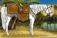 Horse Color:Gray Silver Amber Cream Champagne Roan Dun Splash Tobiano Frame Varnish Rabicano 