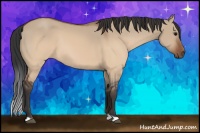Horse Color:Brown Dun 