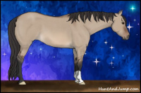 Horse Color:Brown Roan Dun 