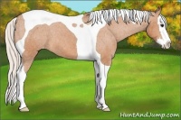 Horse Color:Silver Bay Splash Tobiano Varnish 