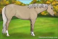Horse Color:Silver Smoky Grullo 