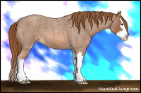Horse Color:Red Roan Splash 