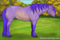 Horse Color:Watercolor Bay Roan Rabicano 