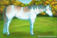 Horse Color:Gray Thunderstruck White Spotted Red Dun Splash 