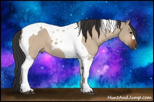 Horse Color: Bay Dun Tobiano 