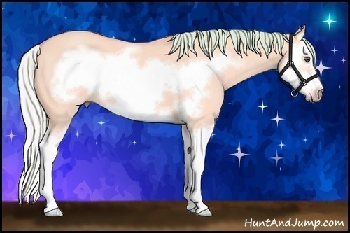 Horse Color: Watercolor Silver Buckskin Roan Dun Splash Frame 