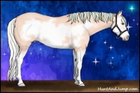 Horse Color:Watercolor Silver Buckskin Roan Dun Splash Frame 