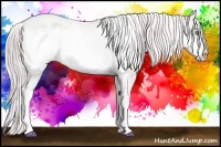 Horse Color:Watercolor Gold Cream Champagne Roan Frame Varnish 