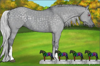 Horse Color:Silver Grullo Chinchilla 