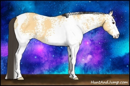 Horse Color: White Spotted Buckskin Dun Tobiano 