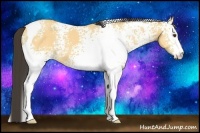 Horse Color:White Spotted Buckskin Dun Tobiano 