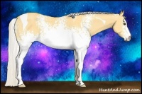 Horse Color:White Spotted Silver Buckskin Dun Tobiano 