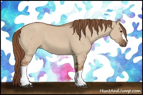 Horse Color: Red Dun 