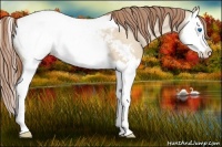 Horse Color:Red Dun Splash Snowcap 