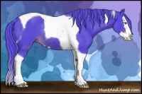 Horse Color:Watercolor Liver Chestnut Sabino Splash Tobiano Rabicano 